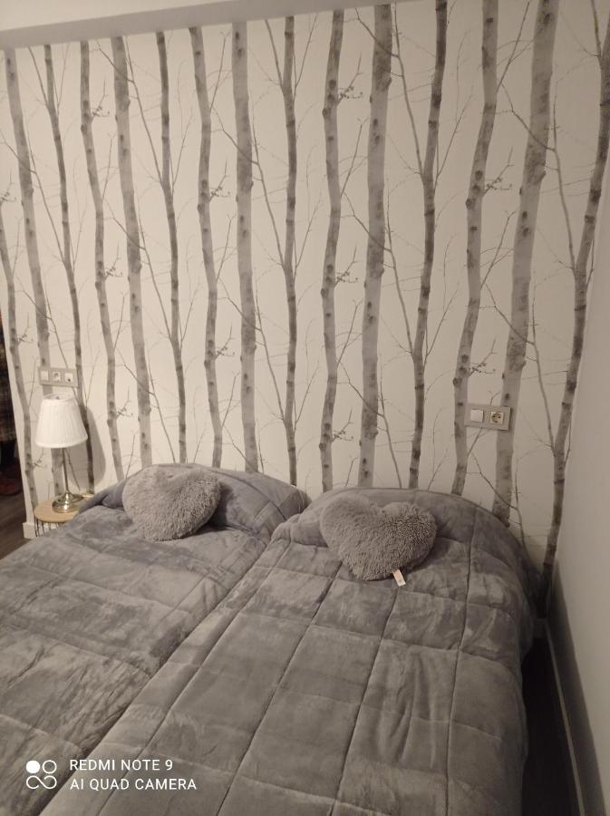 Apartamento Zapaterias León Exterior foto